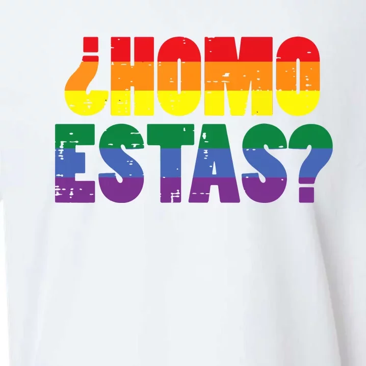 Homo Estas Spanish Mexican Funny Pride Ally Month Sueded Cloud Jersey T-Shirt