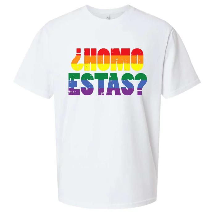 Homo Estas Spanish Mexican Funny Pride Ally Month Sueded Cloud Jersey T-Shirt