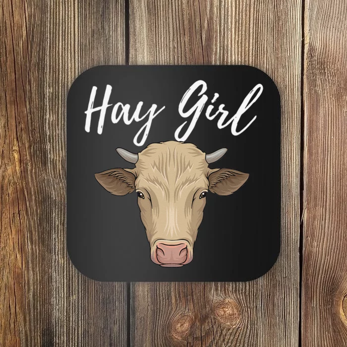 Hay  Funny Cow Lover Famer Cattle Ranch Farming Coaster