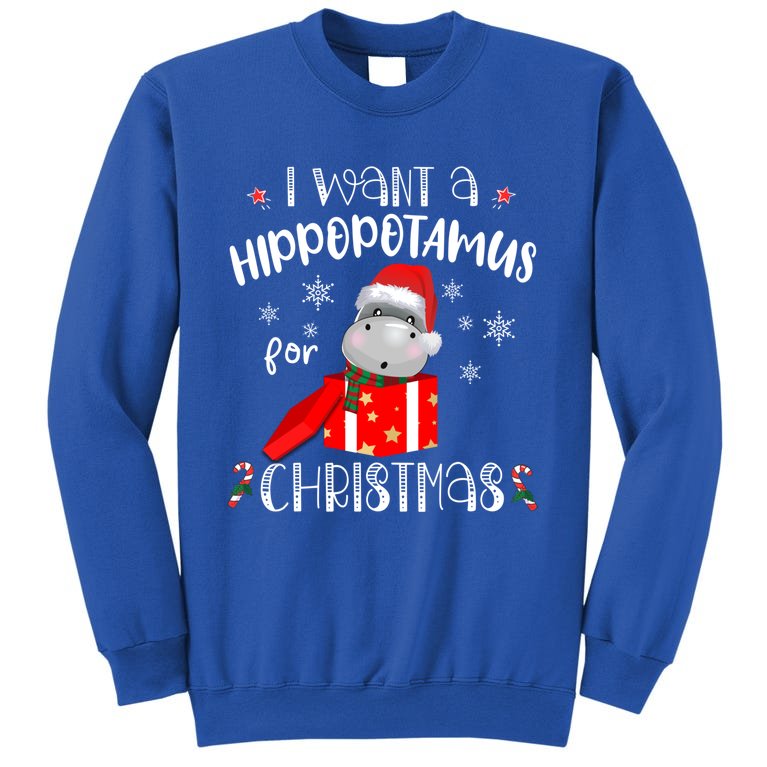 Hippopotamus For Christmas Matching Xmas Hippo Pajama Gift Tall Sweatshirt