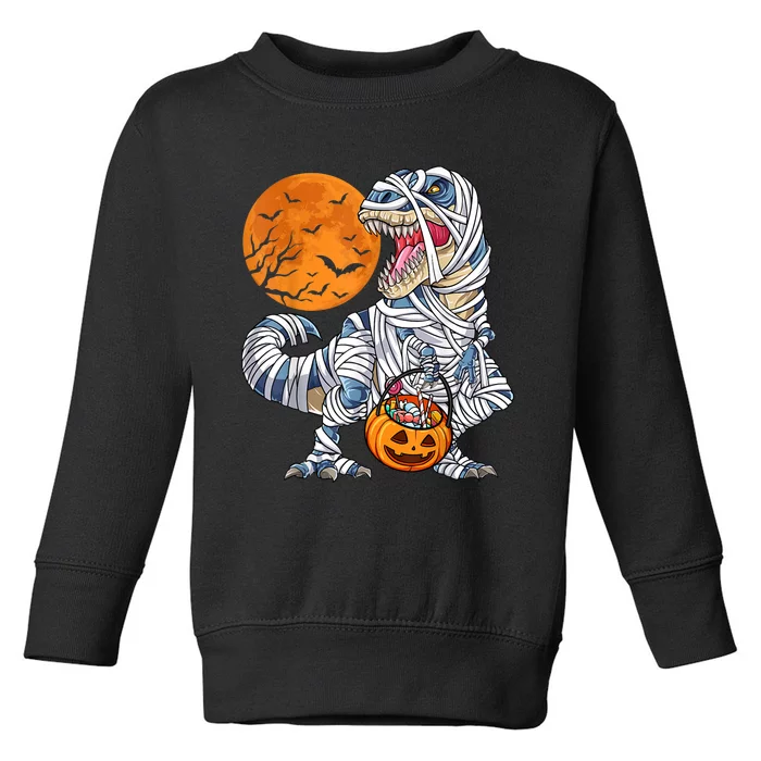 Halloween For Dinosaur T Rex Mummy Pumpkin Long Sleeve Toddler Sweatshirt