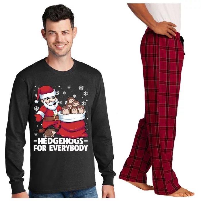 Hedgehogs For Everybody Santa Christmas Hedgehog Funny Cool Gift Long Sleeve Pajama Set