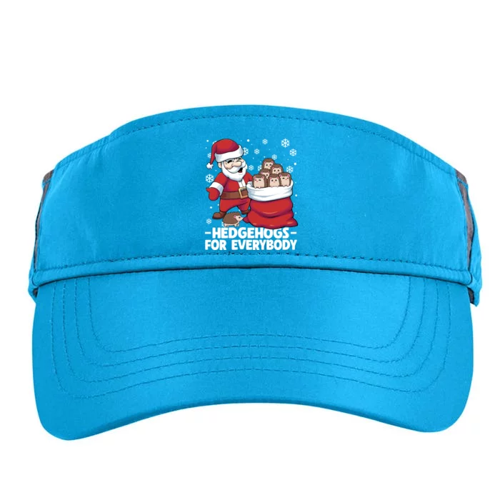 Hedgehogs For Everybody Santa Christmas Hedgehog Funny Cool Gift Adult Drive Performance Visor