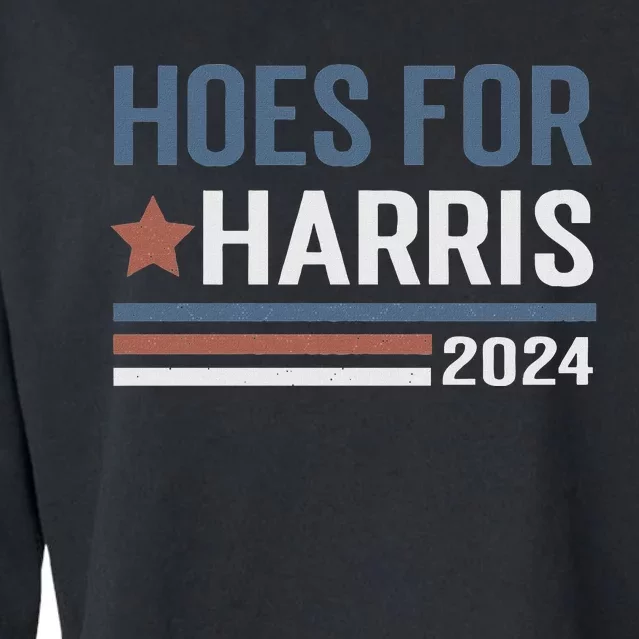 Hoes For Harris 24 Hotties For Harris 2024 Long Sleeve Cropped Pullover Crew