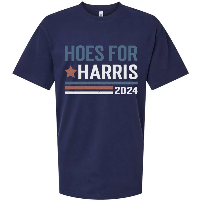 Hoes For Harris 24 Hotties For Harris 2024 Long Sleeve Sueded Cloud Jersey T-Shirt