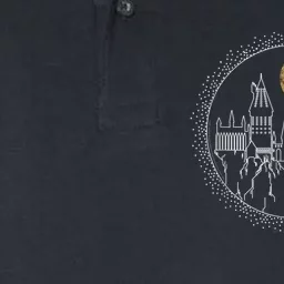 Hogwarts Full Moon Line Art Softstyle Adult Sport Polo