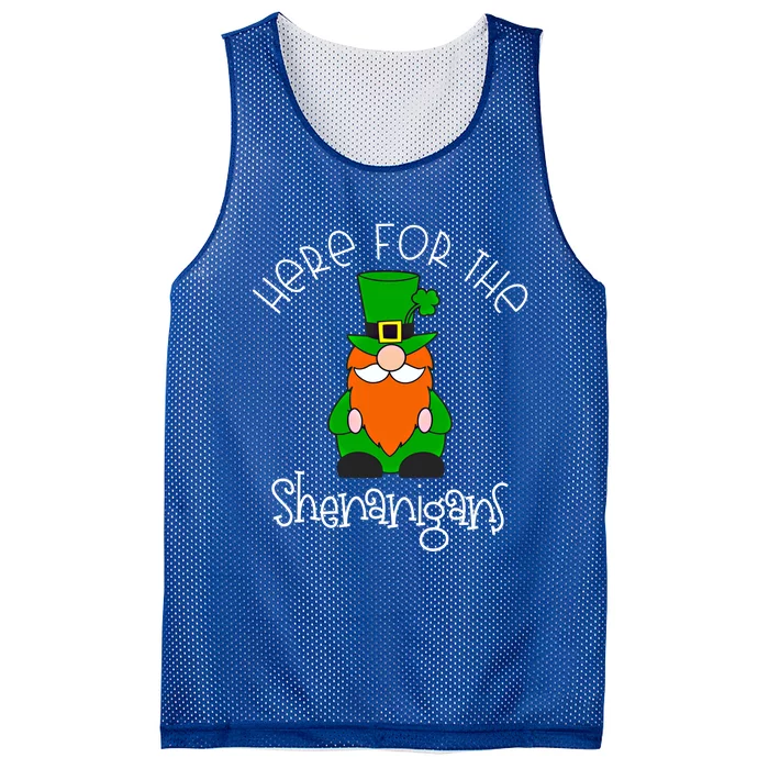 Here For The Shenanigans St Patrick's Day Gnome Gift Mesh Reversible Basketball Jersey Tank