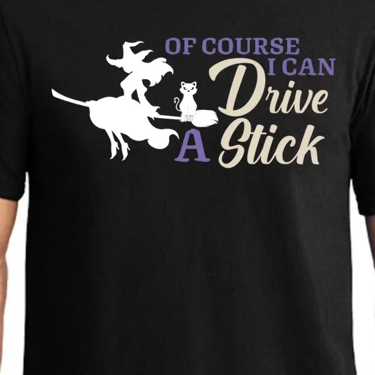 Halloween Funny Witch I Can Drive A Stick Witches Be Crazy Gift Pajama Set