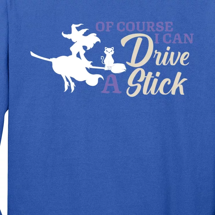 Halloween Funny Witch I Can Drive A Stick Witches Be Crazy Gift Long Sleeve Shirt