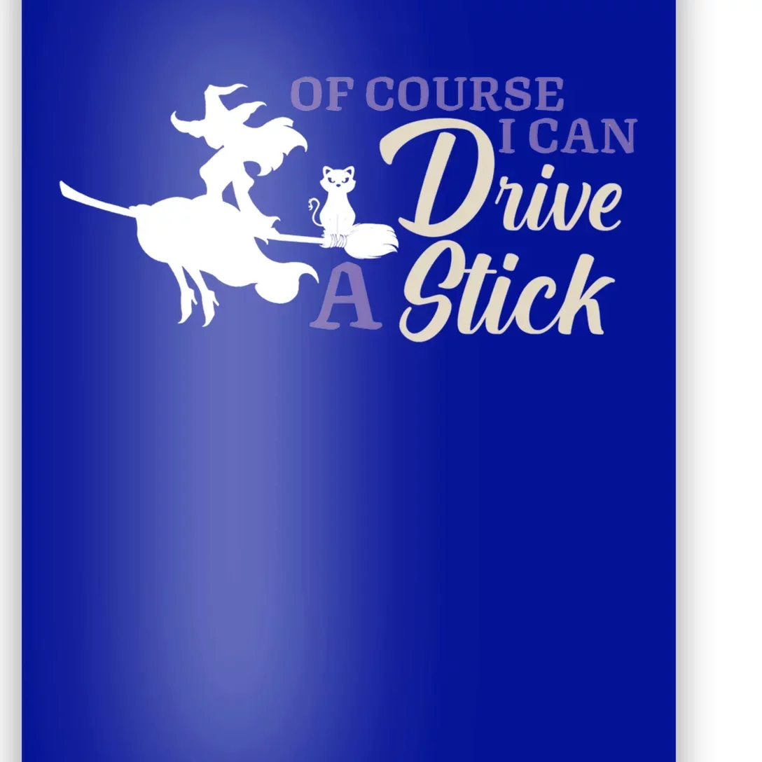 Halloween Funny Witch I Can Drive A Stick Witches Be Crazy Gift Poster