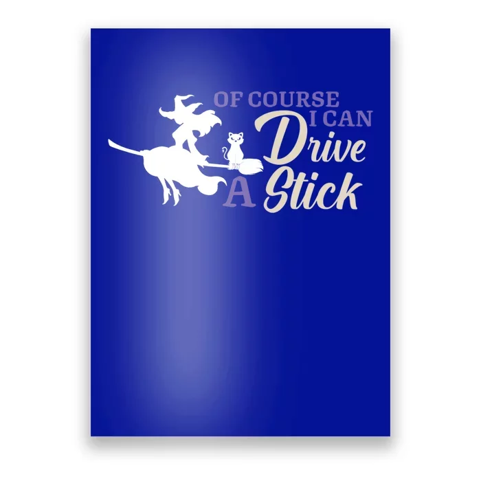 Halloween Funny Witch I Can Drive A Stick Witches Be Crazy Gift Poster