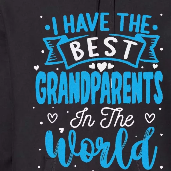 Happy Grandparents Day Funny Grandparents Day Gift Premium Hoodie