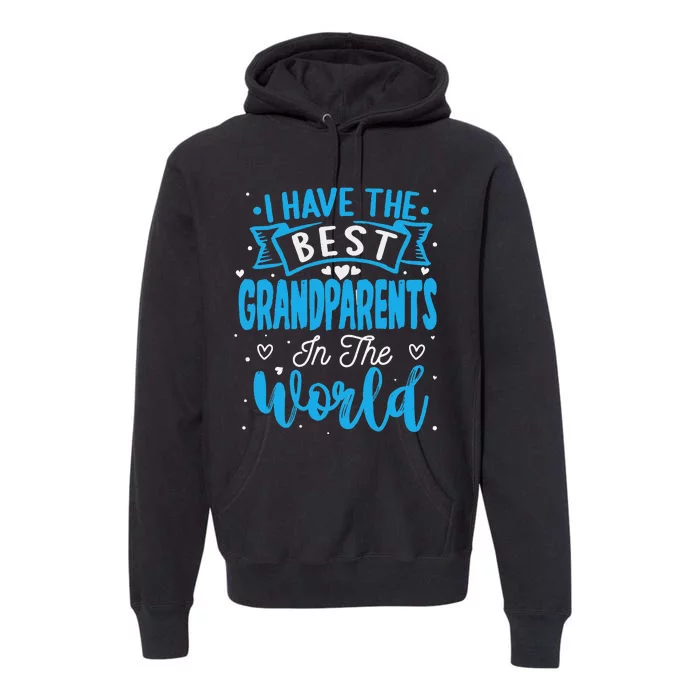 Happy Grandparents Day Funny Grandparents Day Gift Premium Hoodie