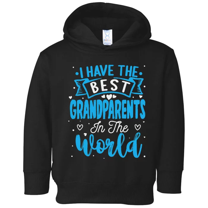 Happy Grandparents Day Funny Grandparents Day Gift Toddler Hoodie