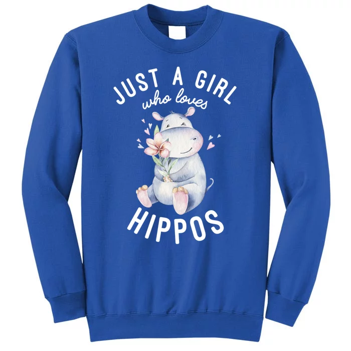 Hippo Gift For Girls Hippo Lover Gift Cute Hippo Cute Gift Tall Sweatshirt