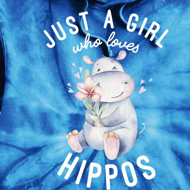 Hippo Gift For Girls Hippo Lover Gift Cute Hippo Cute Gift Tie Dye Hoodie