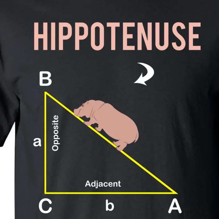 Hippotenuse Geometry Math Joke Hypotenuse Nerd Geek Teacher Tall T-Shirt