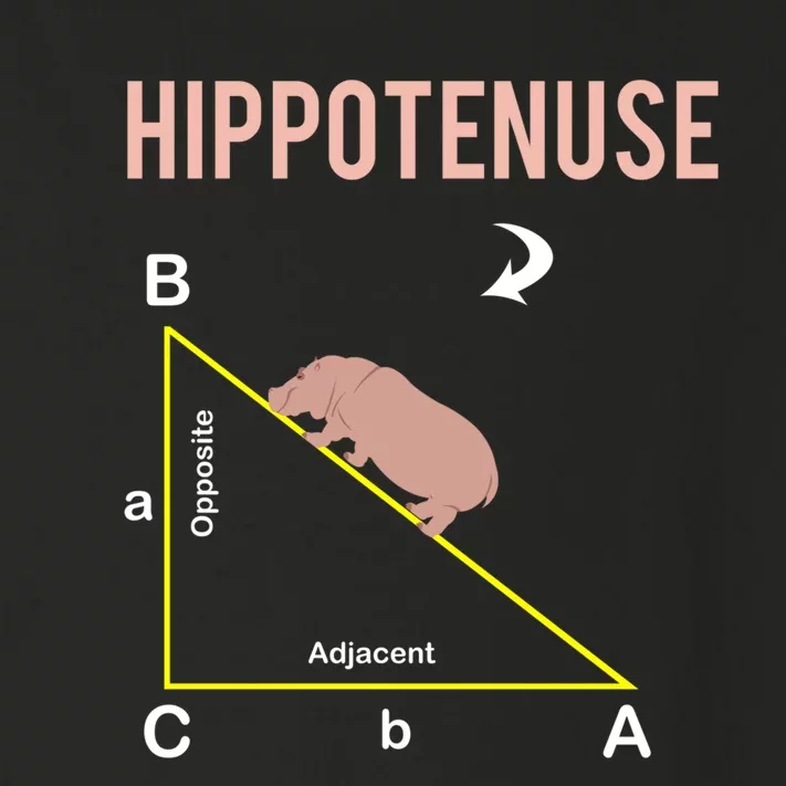 Hippotenuse Geometry Math Joke Hypotenuse Nerd Geek Teacher Toddler Long Sleeve Shirt