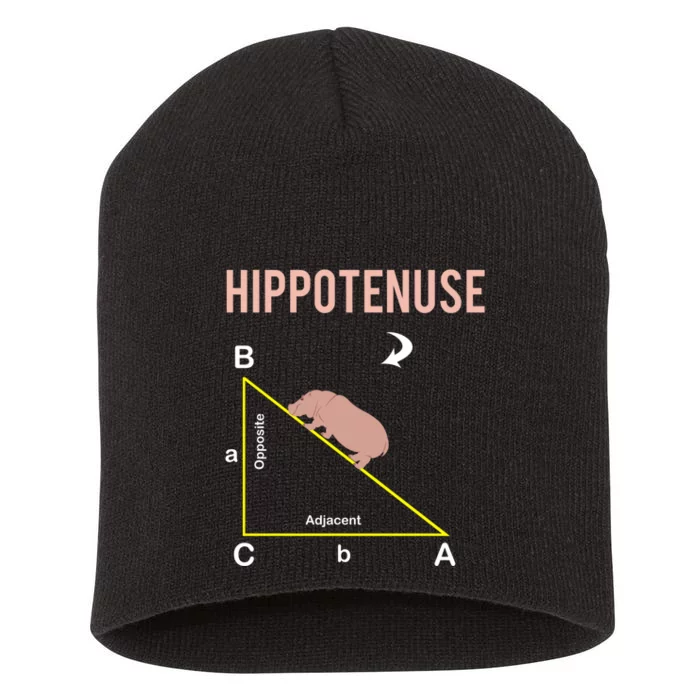 Hippotenuse Geometry Math Joke Hypotenuse Nerd Geek Teacher Short Acrylic Beanie