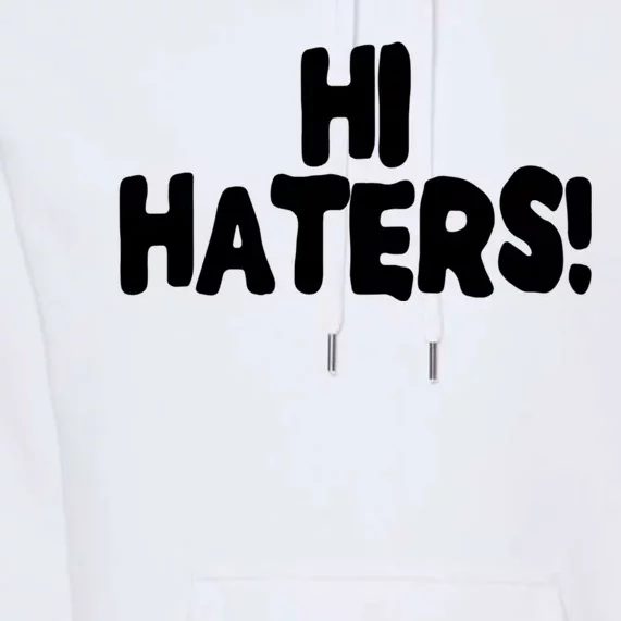 Hi Hater Bye Hater Premium Hoodie