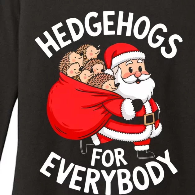 Hedgehogs Hedgie For Everybody Funny Santa Christmas Cool Gift Womens CVC Long Sleeve Shirt