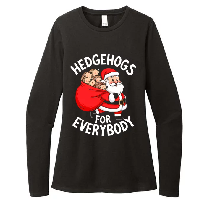 Hedgehogs Hedgie For Everybody Funny Santa Christmas Cool Gift Womens CVC Long Sleeve Shirt