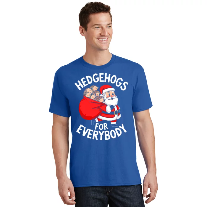 Hedgehogs Hedgie For Everybody Funny Santa Christmas Cool Gift T-Shirt