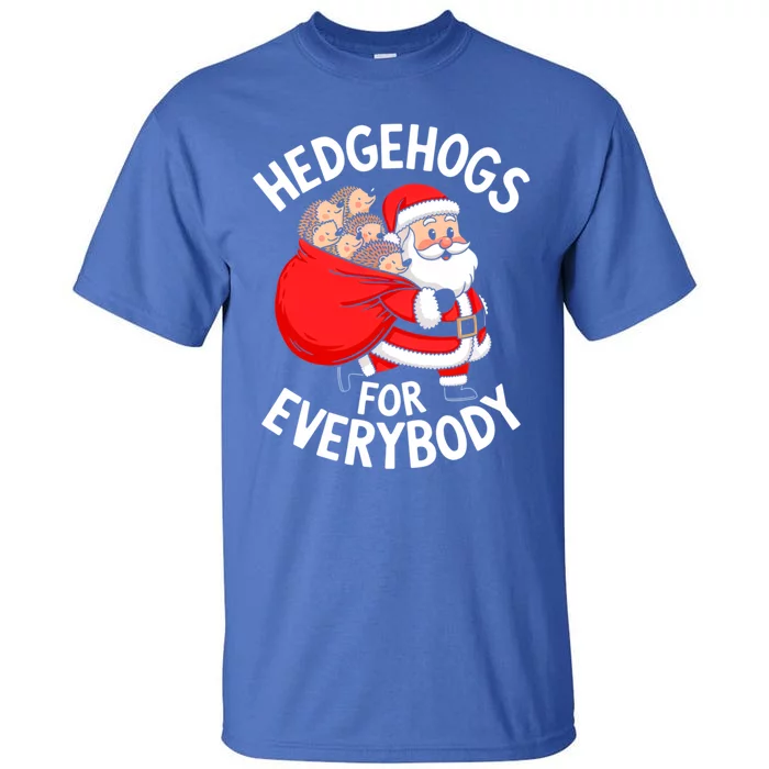 Hedgehogs Hedgie For Everybody Funny Santa Christmas Cool Gift Tall T-Shirt