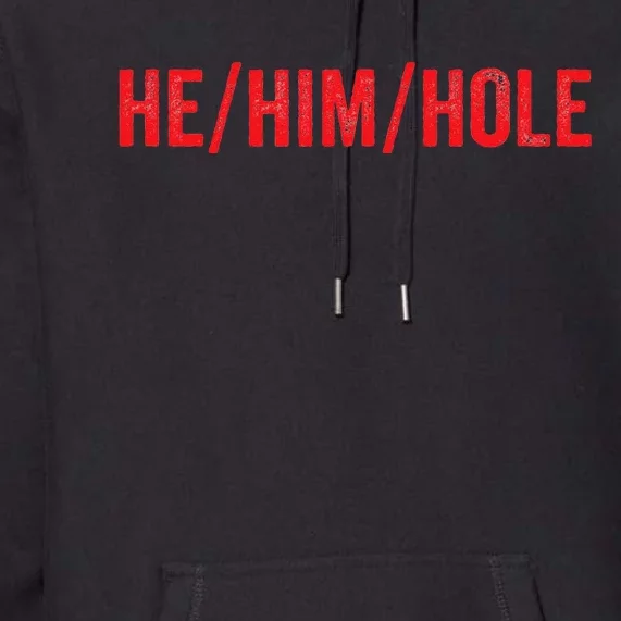 HE HIM HOLE Funny Trending Premium Hoodie