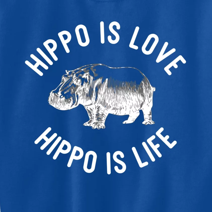 Hippos Hippopotamus Hippos Pygmy Hippopotamus Hippopotamus Gift Kids Sweatshirt