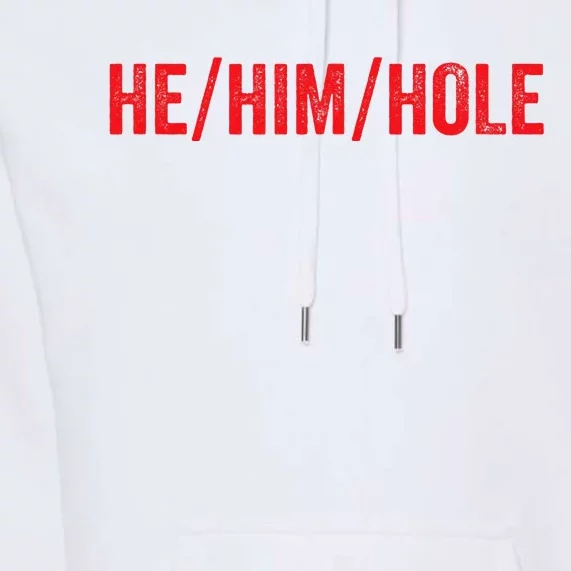 HE HIM HOLE Funny Trending Premium Hoodie