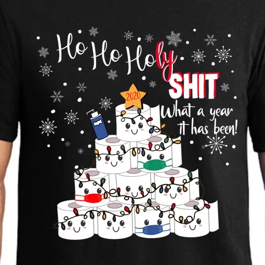 Ho Ho Holy What A Year 2020 Funny Sarcastic Christmas Funny Gift Pajama Set