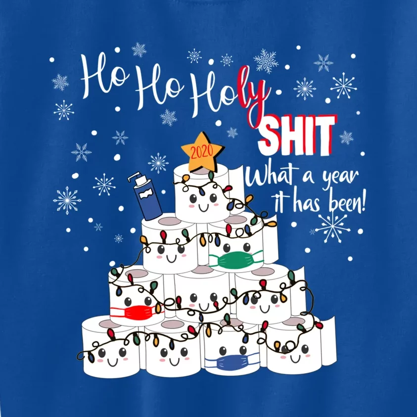 Ho Ho Holy What A Year 2020 Funny Sarcastic Christmas Funny Gift Kids Sweatshirt