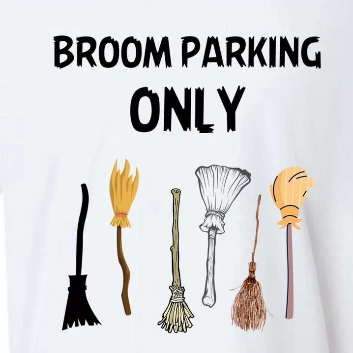 Humorous Halloween Lovers Broom Parking Only Gift Sueded Cloud Jersey T-Shirt