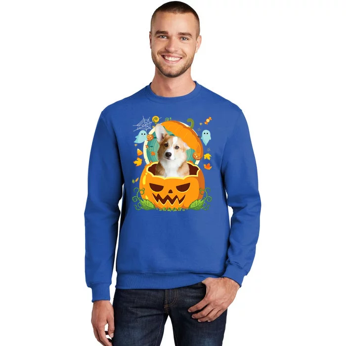 Happy Halloween Pumpkin Corgi Dog Witch Cute Hat Lover Horor Gift Sweatshirt