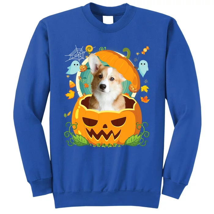 Happy Halloween Pumpkin Corgi Dog Witch Cute Hat Lover Horor Gift Sweatshirt