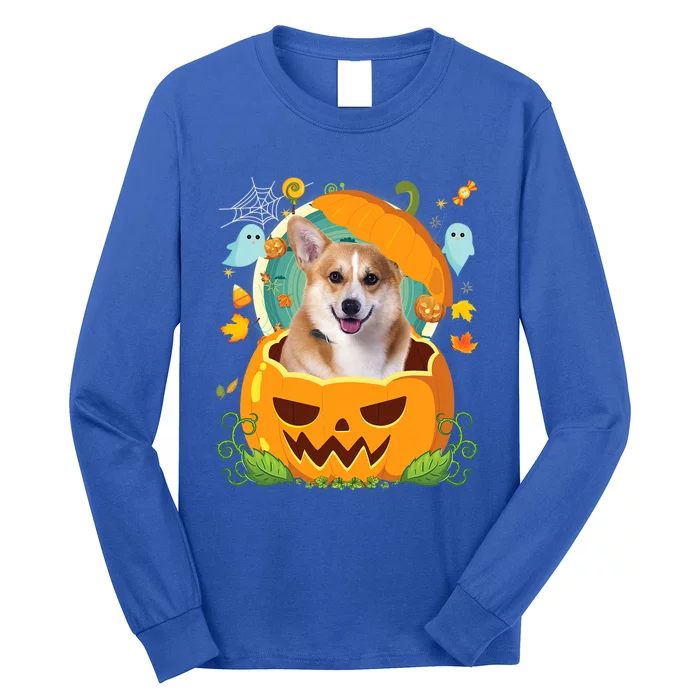 Happy Halloween Pumpkin Welsh Corgi Dog Witch Cute Hat Lover Cool Gift Long Sleeve Shirt