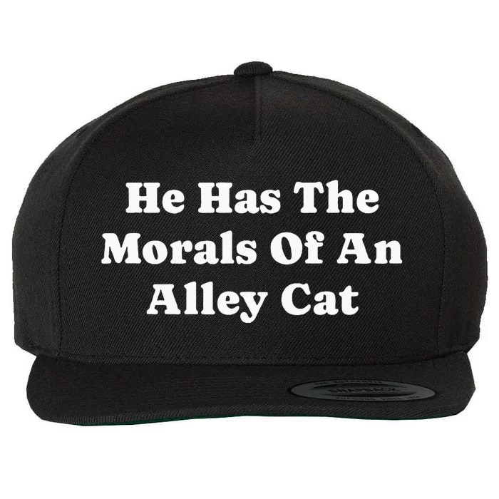 He Has The Morals Of An Alley Cat Wool Snapback Cap