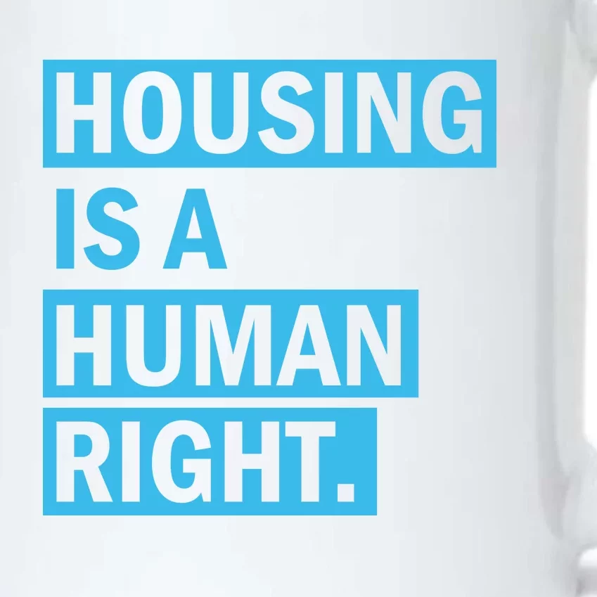 Housing Is A Human Right Black Color Changing Mug