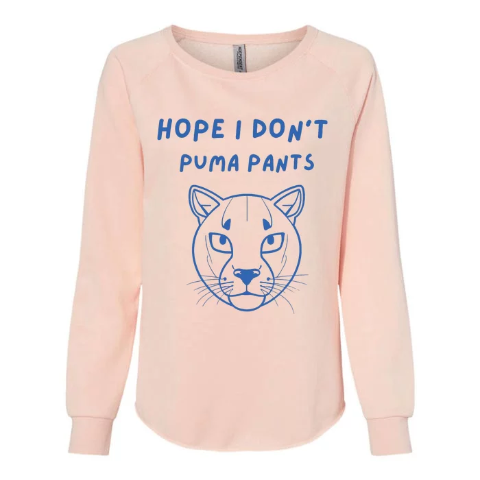 Hope I Dont Pants Funny Cat Pun Womens California Wash Sweatshirt