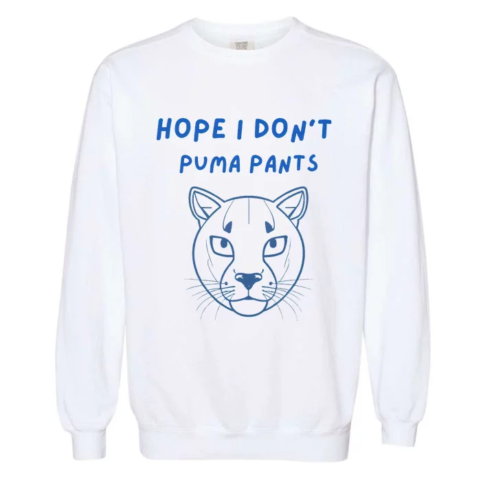 Hope I Dont Pants Funny Cat Pun Garment-Dyed Sweatshirt