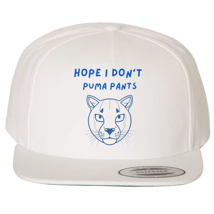 Hope I Dont Pants Funny Cat Pun Wool Snapback Cap