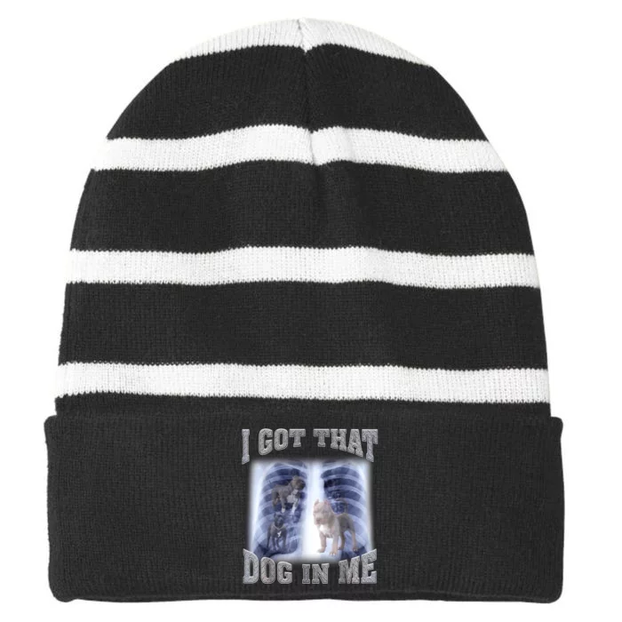 Hilarious I Got That Dog In Me Xray Meme Funny Striped Beanie with Solid Band