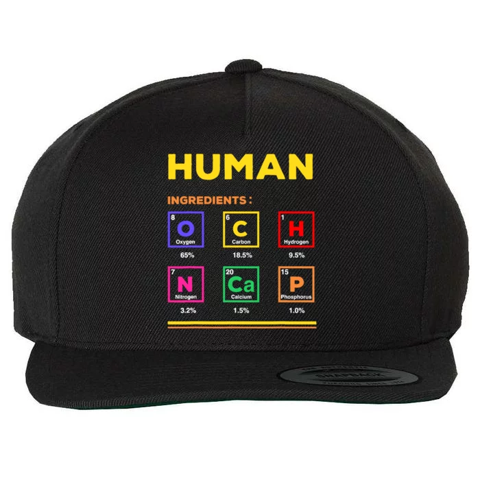 Human Ingredients Medical Laboratory Science Lab Technician Wool Snapback Cap