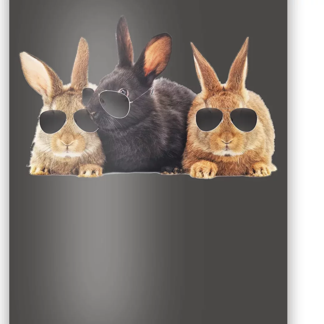 Hipster Cool Rabbit Poster