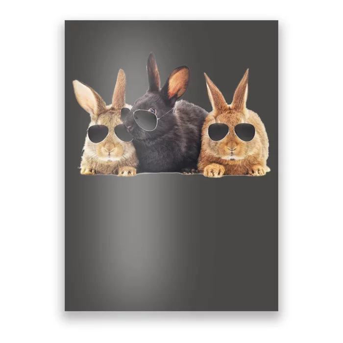 Hipster Cool Rabbit Poster