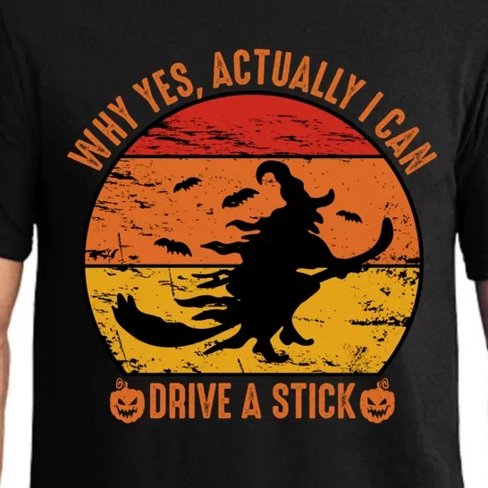 Halloween Ideas Why Yes Actually I Can Drive A Stick Pajama Set