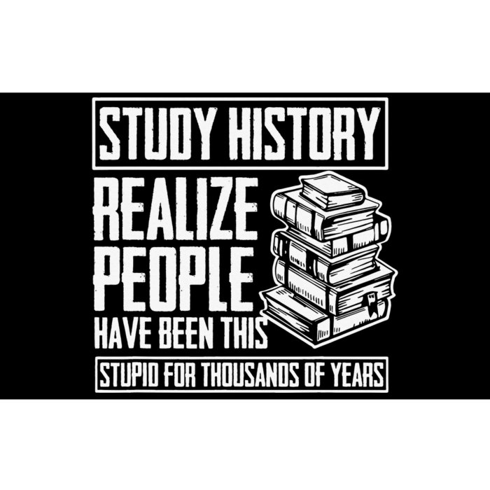 Historian Joke for History Teacher and Funny History Buff Bumper Sticker