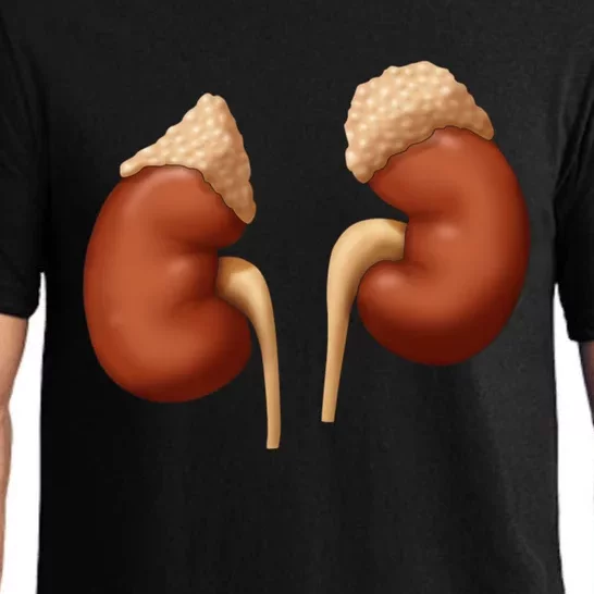 Human Kidneys With Adrenal Glands Medical Illustration Pajama Set