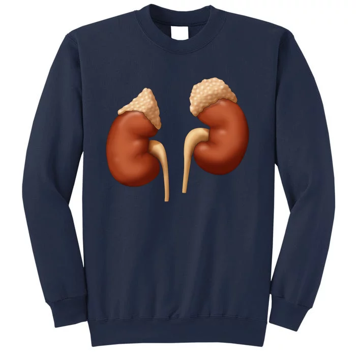 Human Kidneys With Adrenal Glands Medical Illustration Sweatshirt